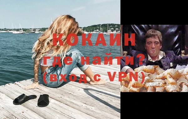 шишки Осинники