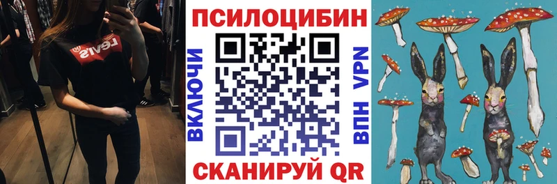 Псилоцибиновые грибы Magic Shrooms  даркнет сайт  Каменск-Шахтинский 