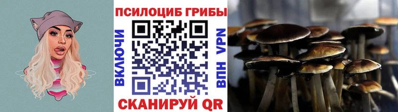 Псилоцибиновые грибы Magic Shrooms Каменск-Шахтинский